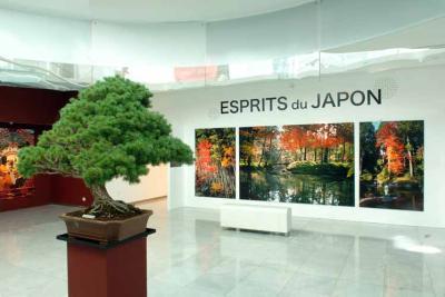 Esprits du Japon - Agrandir l'image 2 sur 8, fenêtre modale