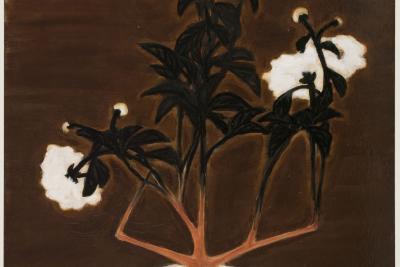 Enlarge image 12 of 14, modal window