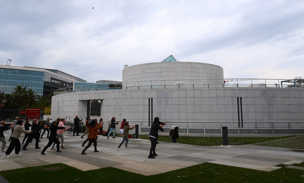 Animation Taï Chi Chuan et Qi Gong - Agrandir l'image, fenêtre modale