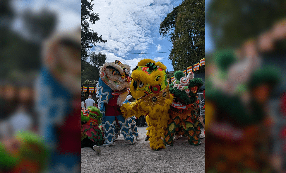 Danse du lion - Agrandir l'image, fenêtre modale